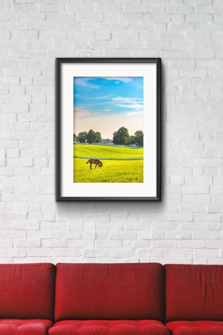 Evening with a Horse