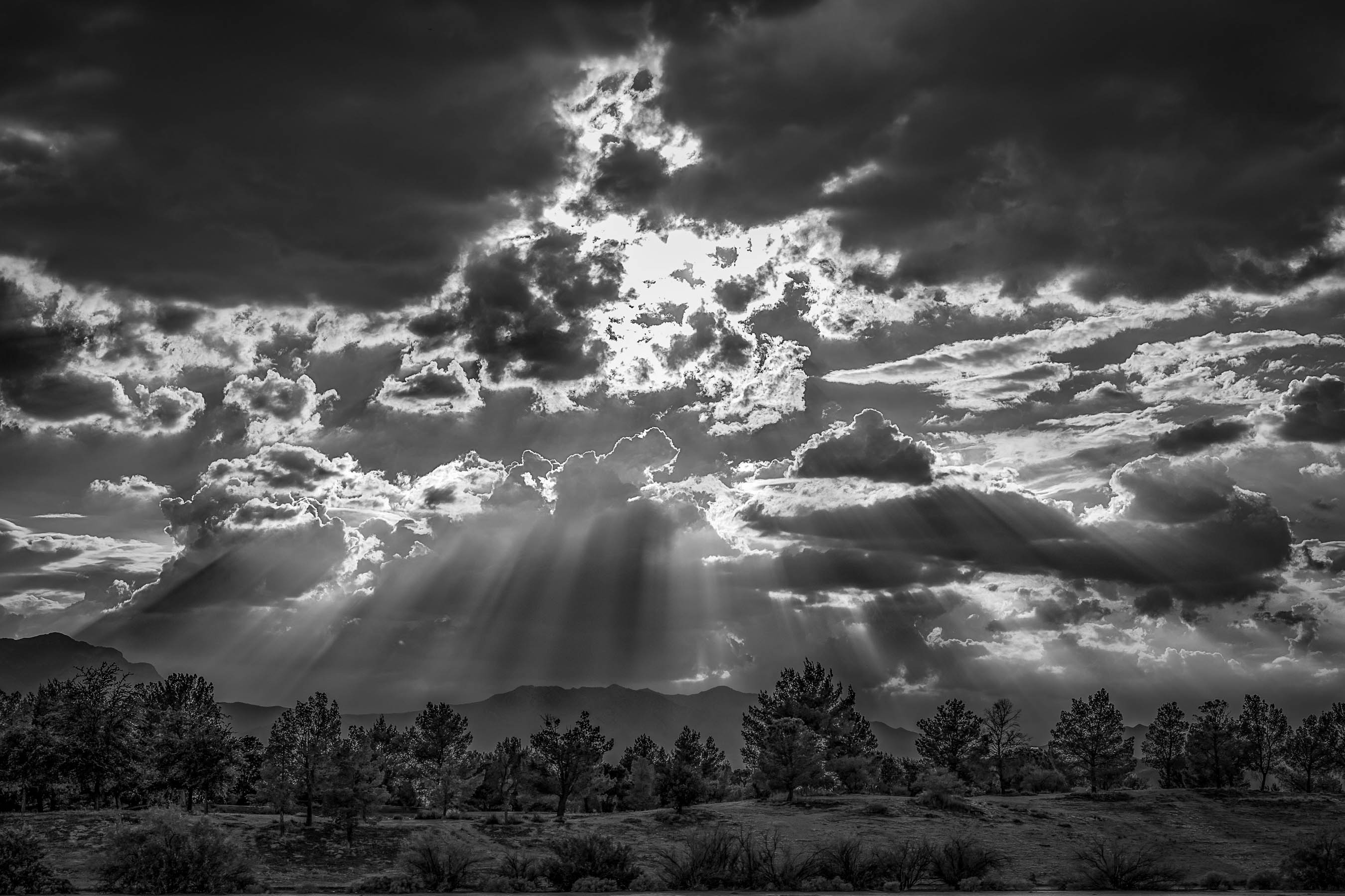 Crepuscular rays