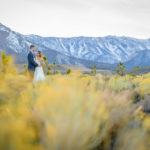 Couple portrait with wedding dress at Mount Charleston Las Vegas
