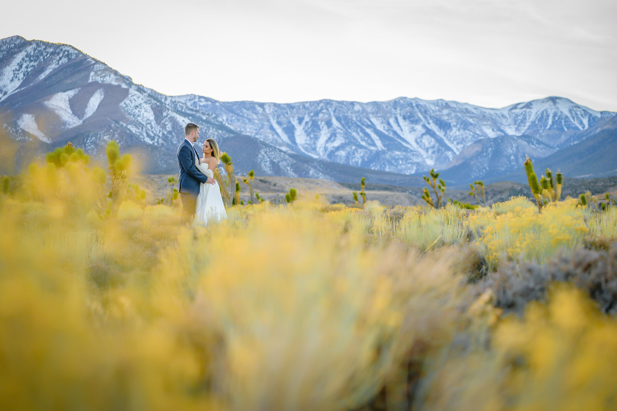 Couple portrait with wedding dress at Mount Charleston Las Vegas