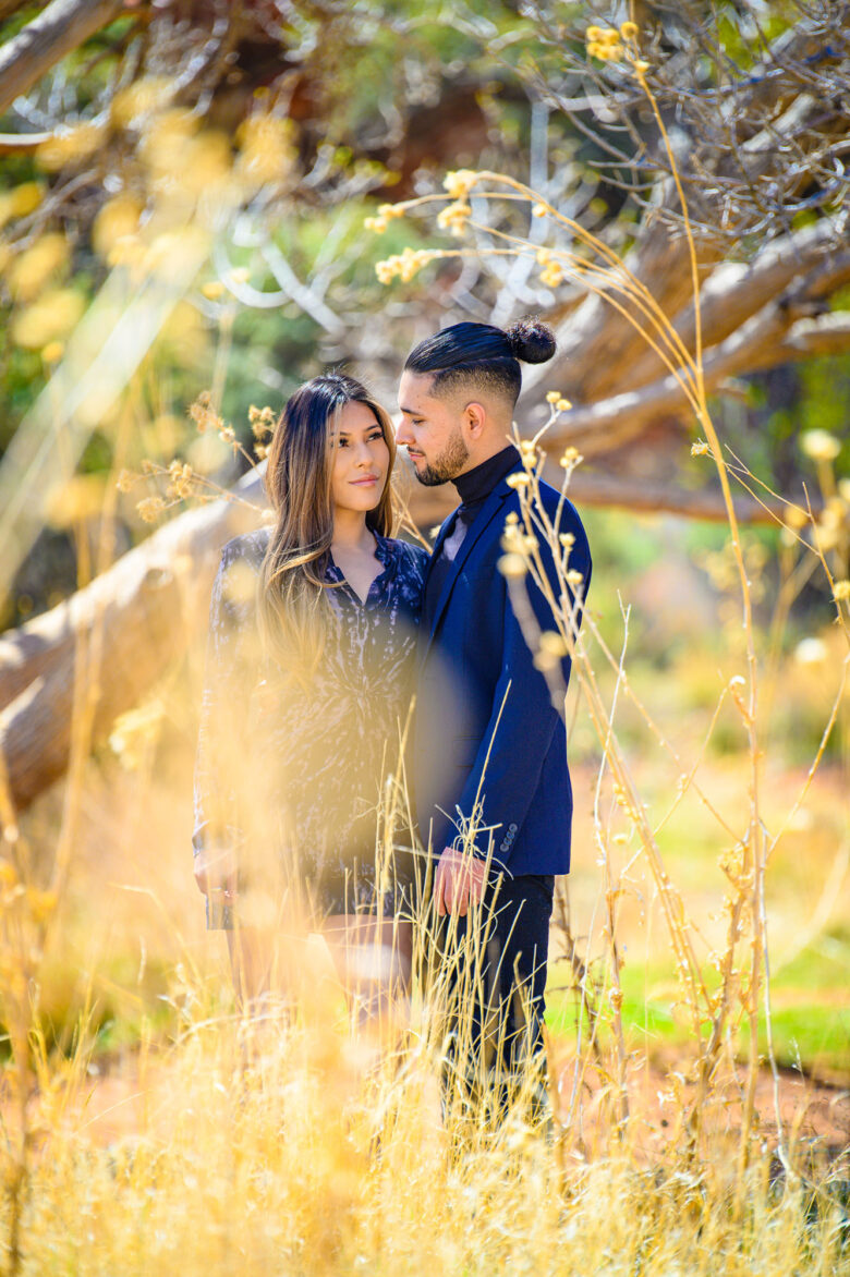 Las Vegas Engagement Photographer